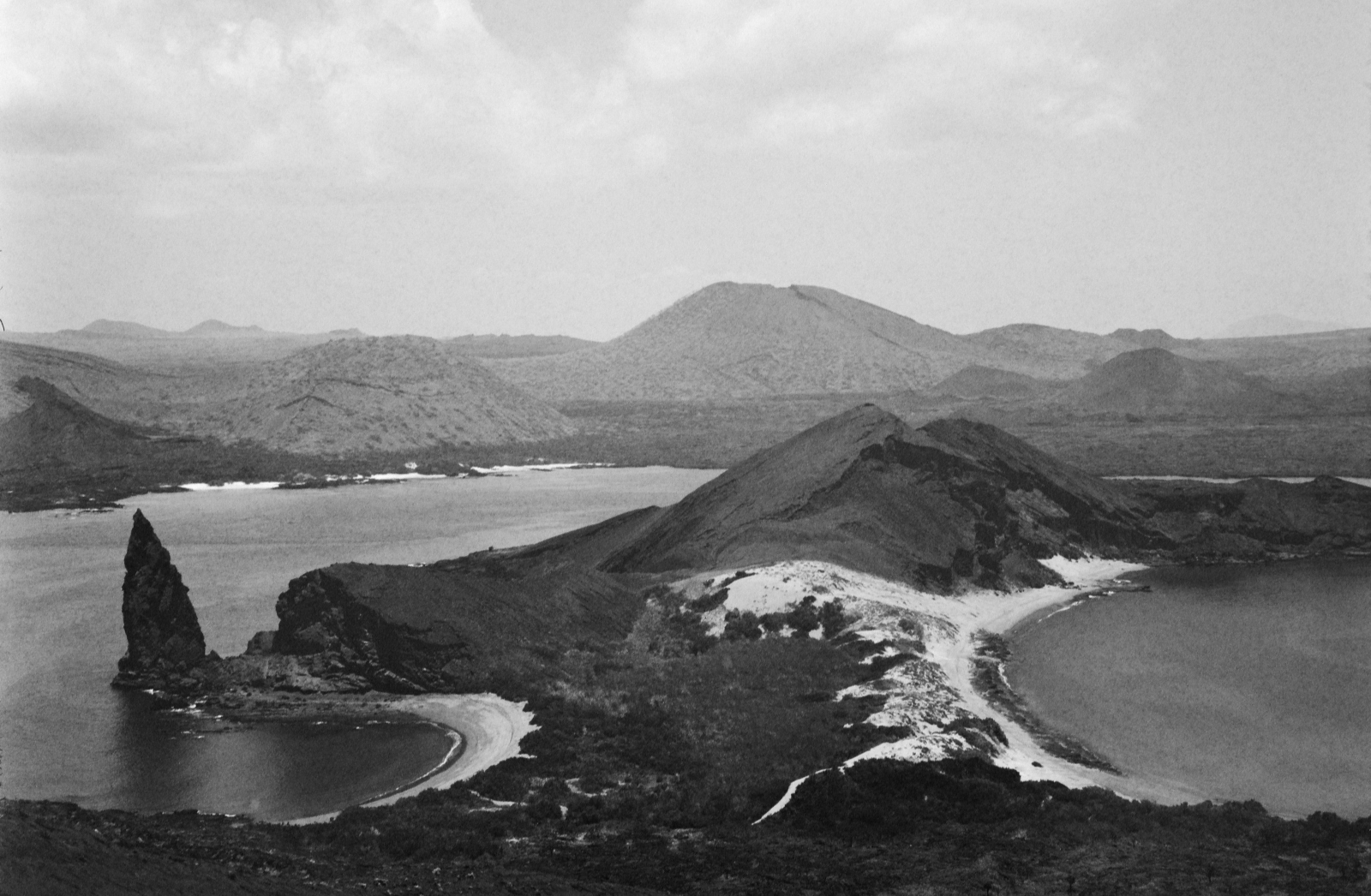 Galapagos Batholome mono-web